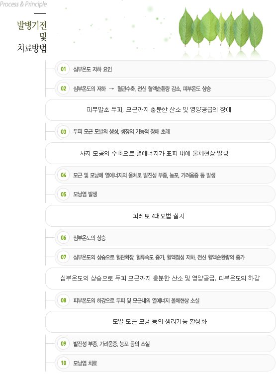 모낭염 발병기전 및 치료방법,모낭염원인,모낭염증상,모낭염치료,모낭염예